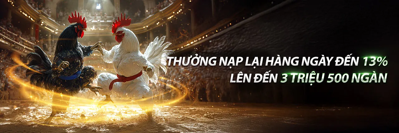 Đấu trường đá gà trực tuyến sôi động tại w388 login